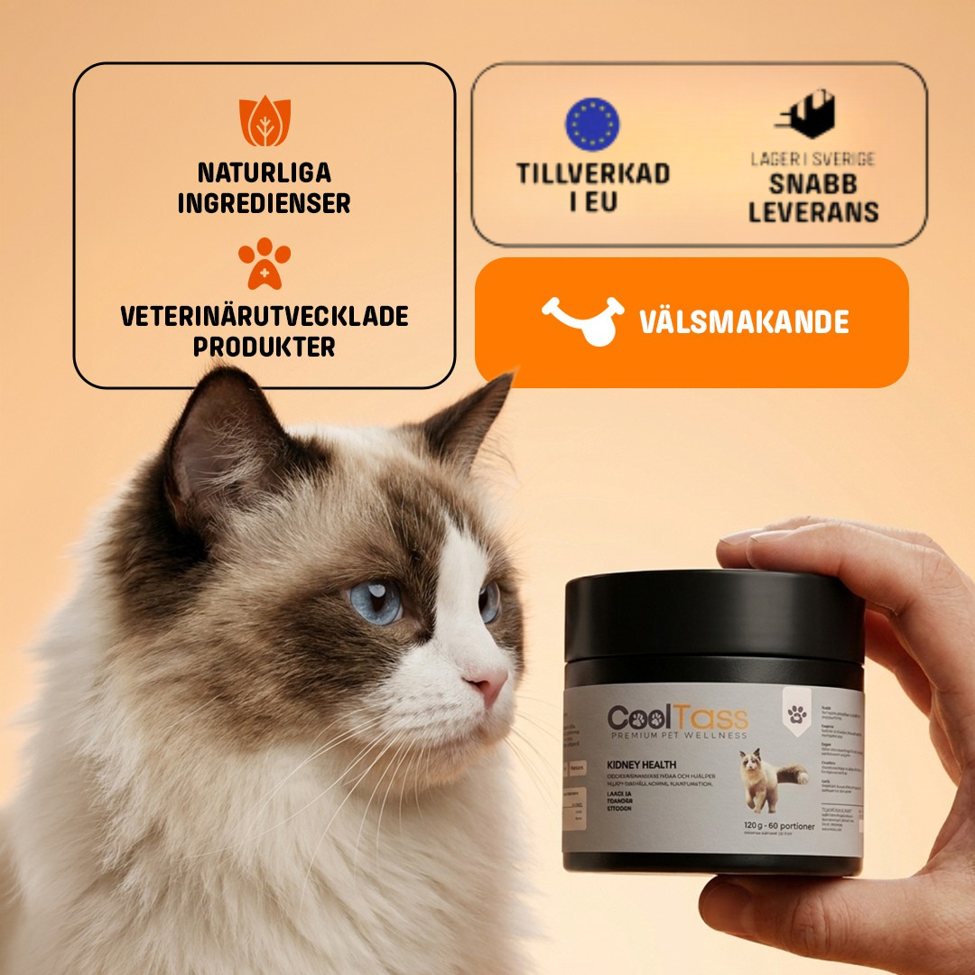 Kidney & Urinary Support Supplement for Cats