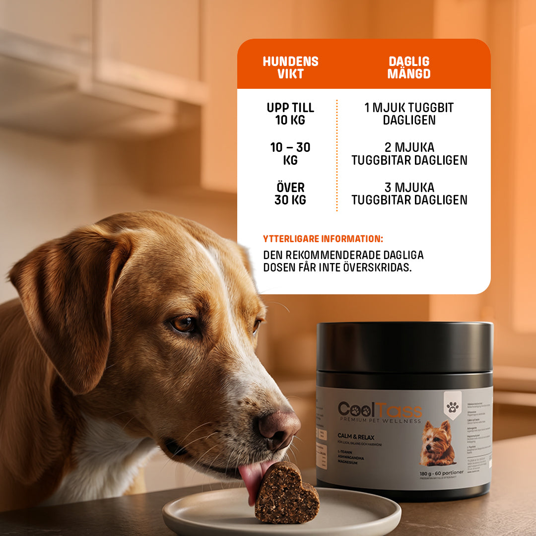 Calm & Relax Supplement for Dogs