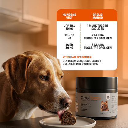 Calm & Relax Supplement for Dogs