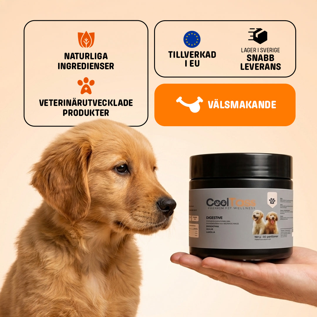 Daily Digestive Supplement for Dogs