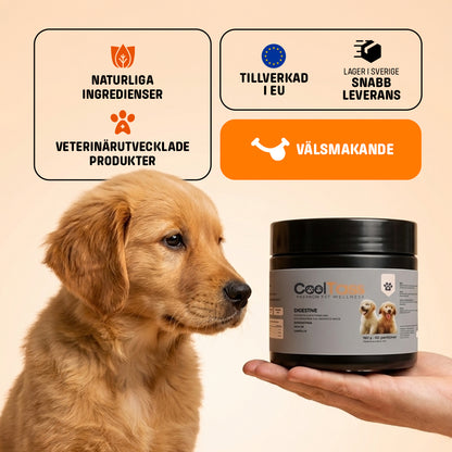 Daily Digestive Supplement for Dogs