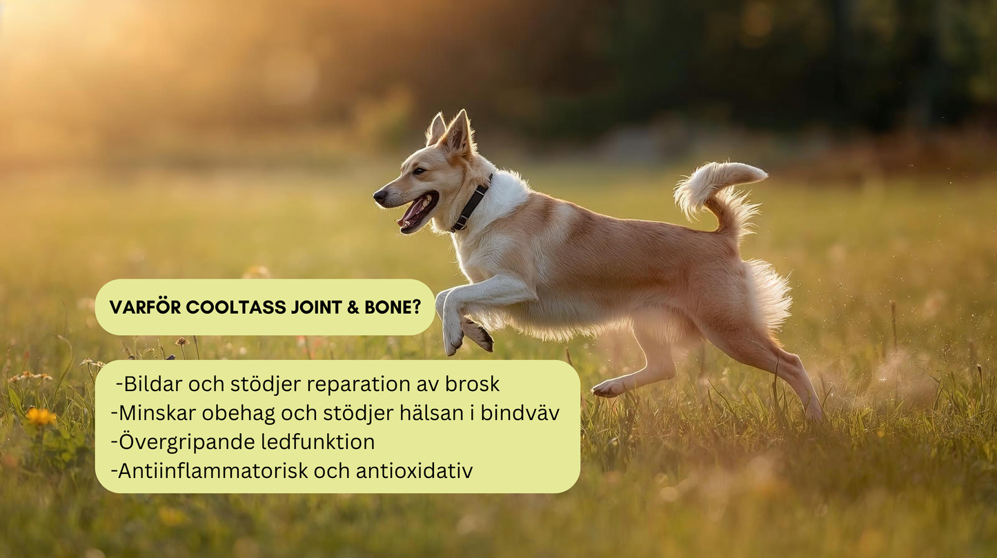 Joint & Bone Supplement for Dogs