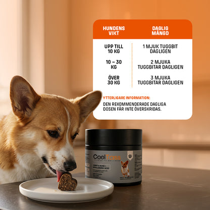 Joint & Bone Supplement for Dogs