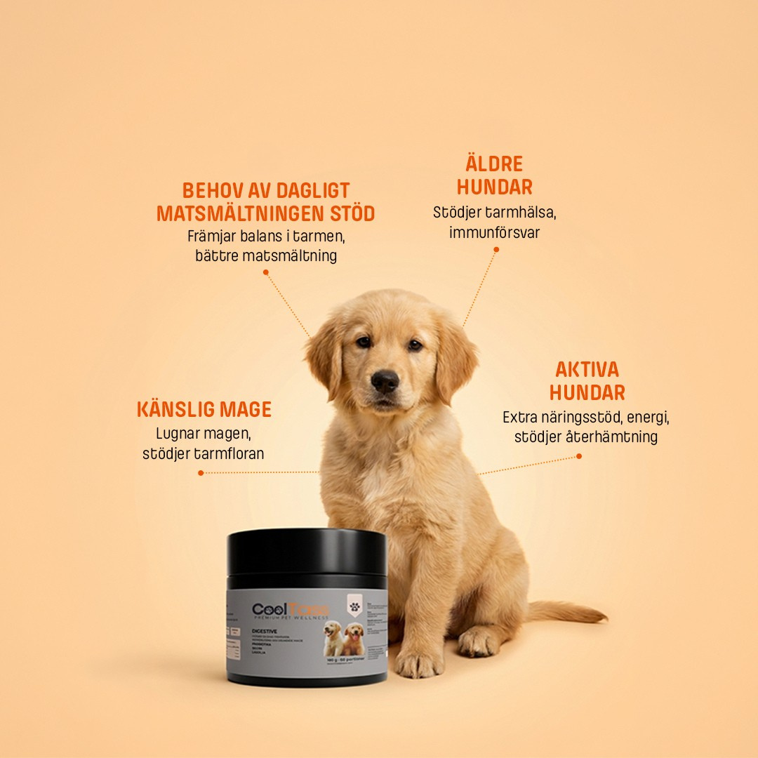 Daily Digestive Supplement for Dogs