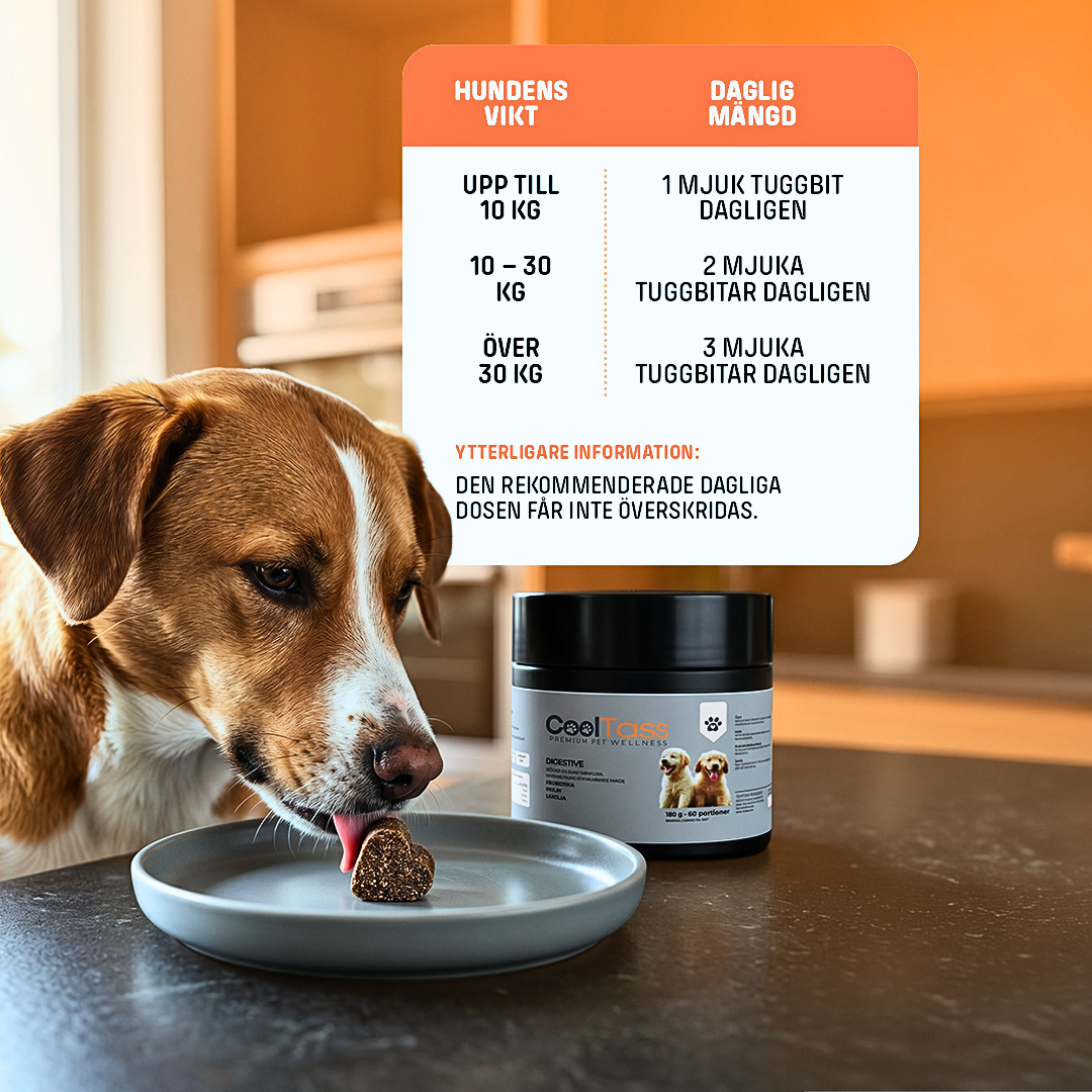Daily Digestive Supplement for Dogs