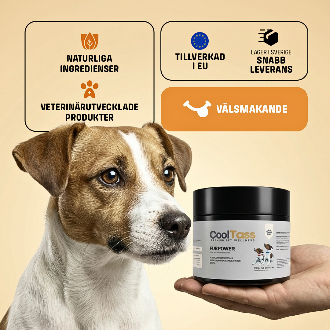 Fur Power Coat Supplement for Dogs
