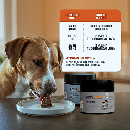 Fur Power Coat Supplement for Dogs