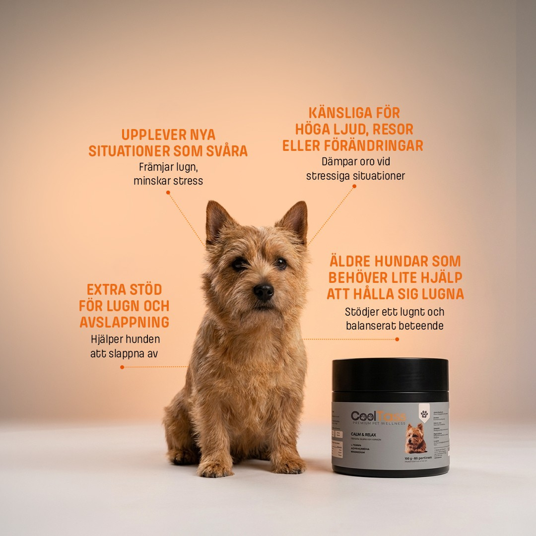 Calm & Relax Supplement for Dogs