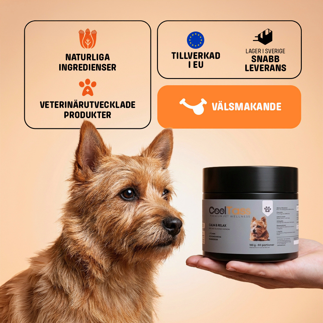 Calm & Relax Supplement for Dogs