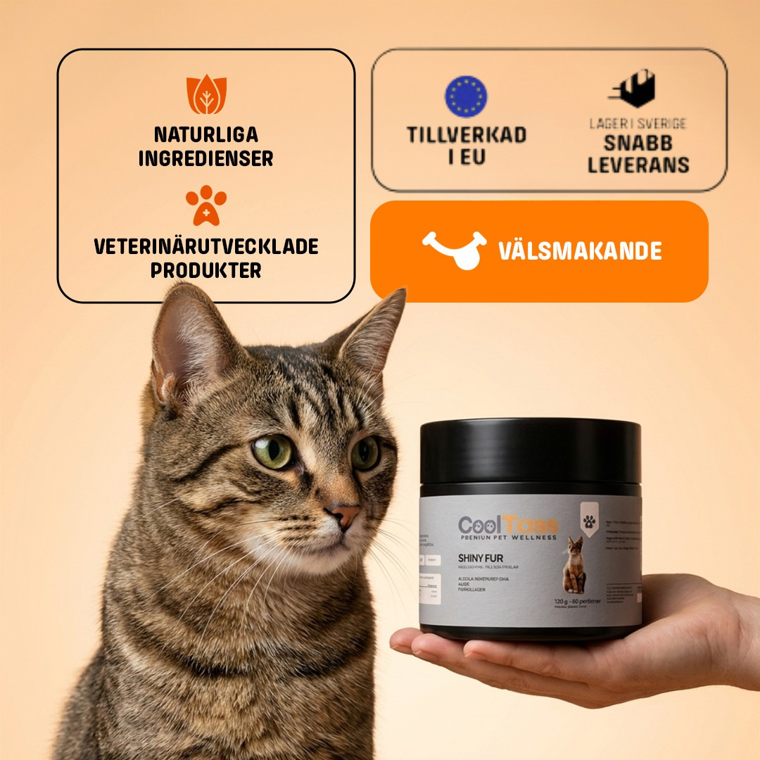 Shiny Fur Coat Supplement for Cats