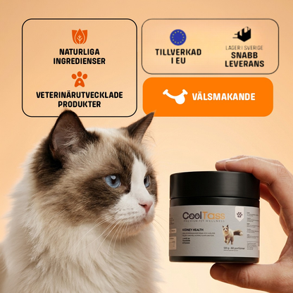 Kidney & Urinary Support Supplement for Cats