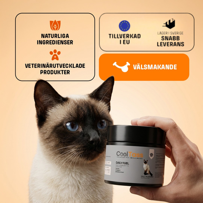 Daily Fuel Multivitamin for Cats