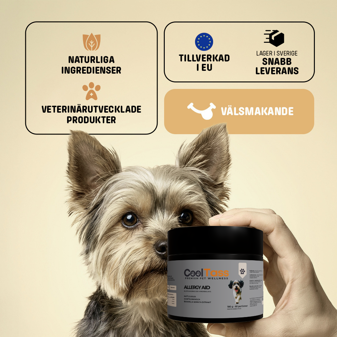 Allergy Aid Immune Supplement for Dogs