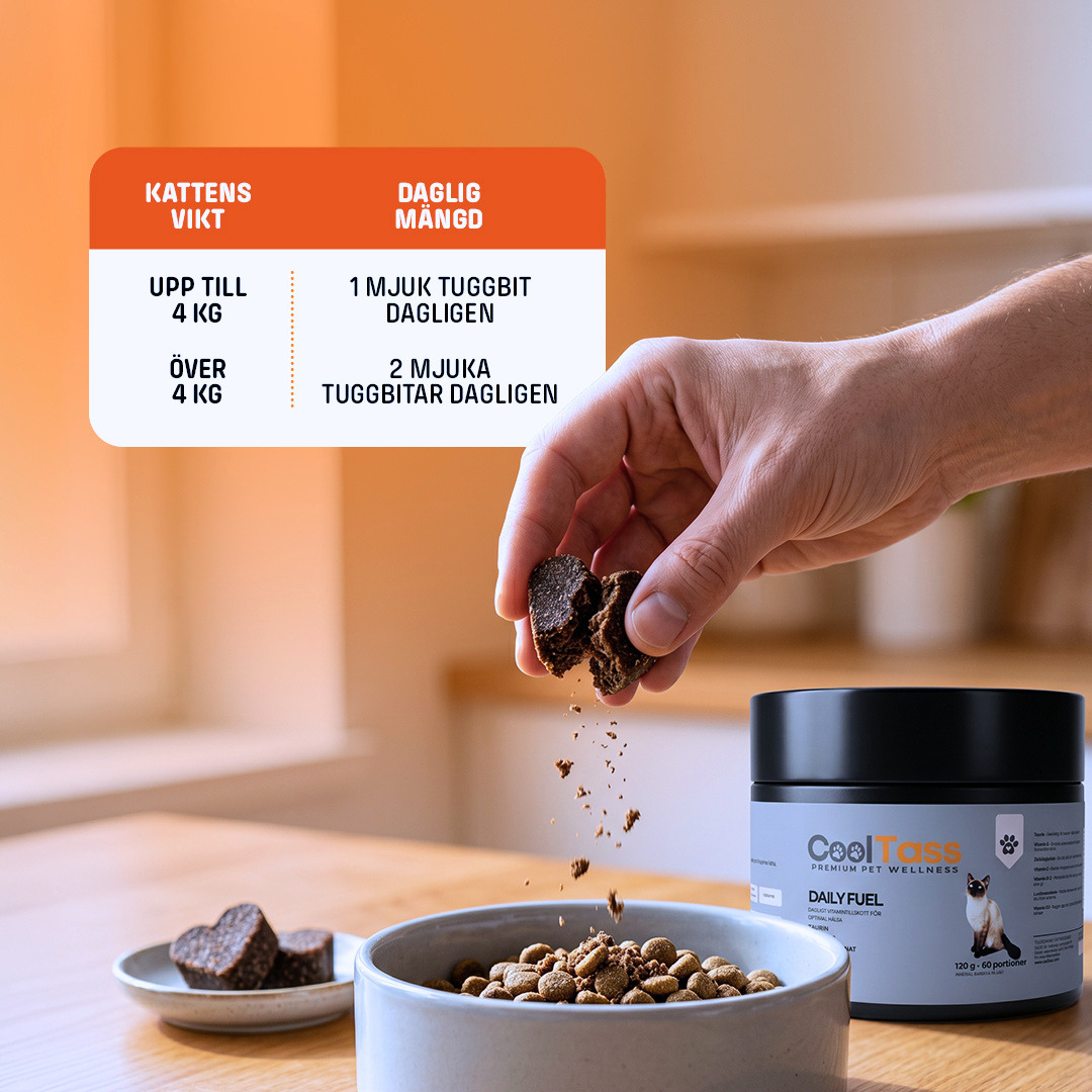 Daily Fuel Multivitamin for Cats