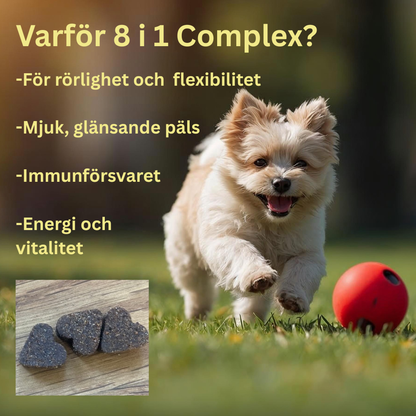 CoolTass 8 i 1 Complex –multivitaminer för hund