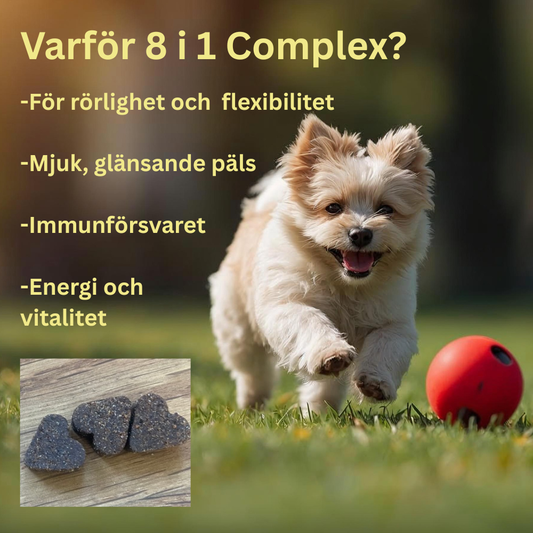 CoolTass 8 i 1 Complex –multivitaminer för hund