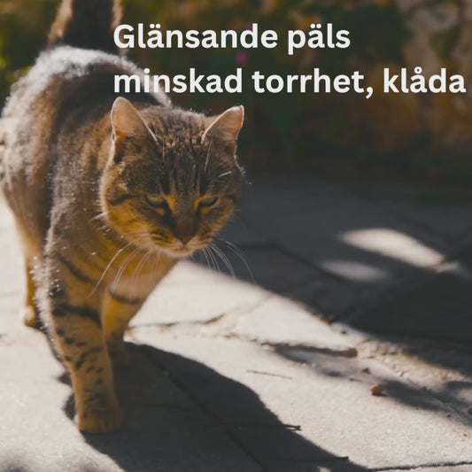 SHINY FUR - Glänsande, frisk päls